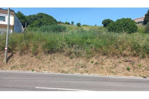 Terra em Pernes, Santarem, Pernes - € 26.900 | Ref: TM97455 - foto 4