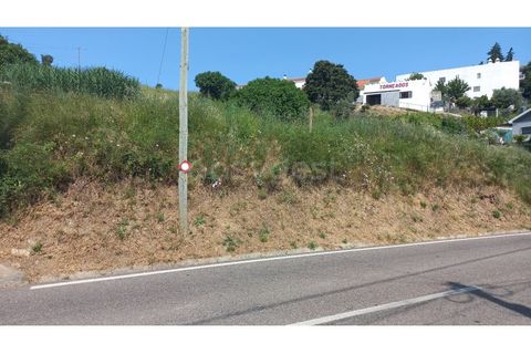 Terra em Pernes, Santarem, Pernes - € 26.900 | Ref: TM97455 - foto 5