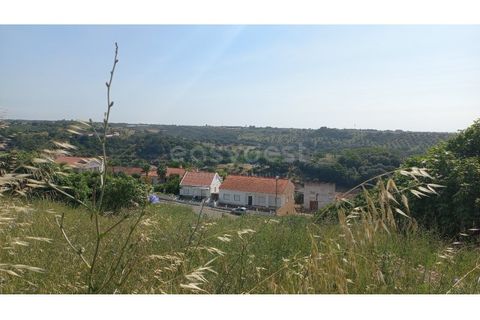 Terra em Pernes, Santarem, Pernes - € 26.900 | Ref: TM97455 - foto 8
