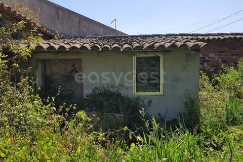 Herregård i Vau, Leiria, Vau - € 125 000 | Ref: LA96571NN - foto 11