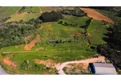 Helårsgrund i Maiorga, Leiria, Maiorga - € 155.000 | Ref: LE97049NZ - foto 1
