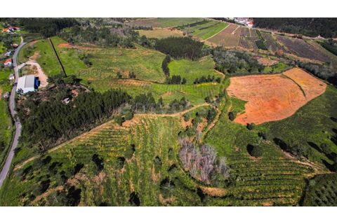 Helårsgrund i Maiorga, Leiria, Maiorga - € 155.000 | Ref: LE97049NZ - foto 2