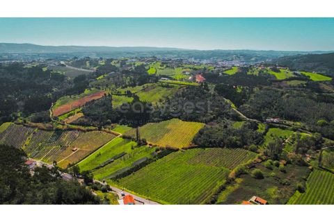 Helårsgrund i Maiorga, Leiria, Maiorga - € 155.000 | Ref: LE97049NZ - foto 14
