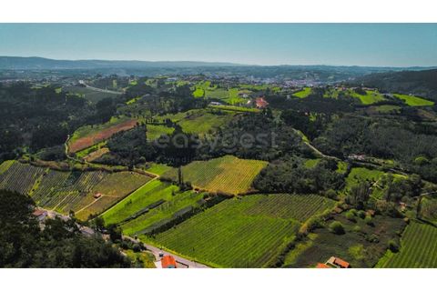 Helårsgrund i Maiorga, Leiria, Maiorga - € 155.000 | Ref: LE97049NZ - foto 15