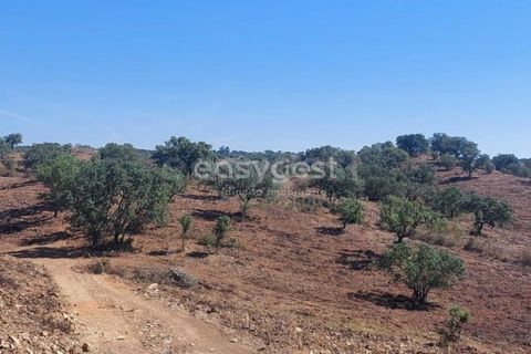 Farm hus i Ourique, Beja, Ourique - € 189.000 | Ref: BJ95765 - foto 5