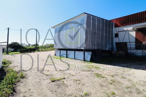 Erhvervsejendom i Alenquer, Lisbon, Alenquer - € 650.000 | Ref: 08/2024 - foto 6