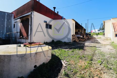 Erhvervsejendom i Alenquer, Lisbon, Alenquer - € 650.000 | Ref: 08/2024 - foto 13