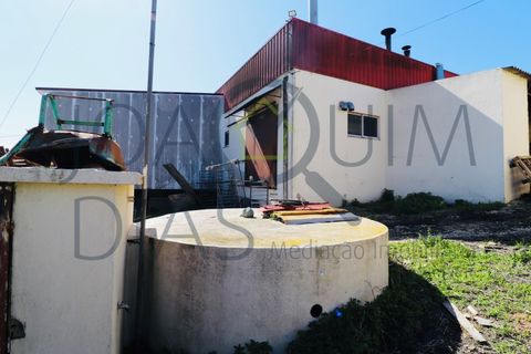 Erhvervsejendom i Alenquer, Lisbon, Alenquer - € 650.000 | Ref: 08/2024 - foto 14