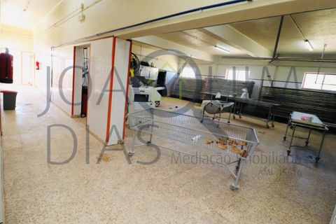 Erhvervsejendom i Alenquer, Lisbon, Alenquer - € 650.000 | Ref: 08/2024 - foto 21