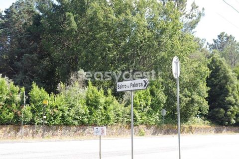 Helårsgrund i Viseu, Viseu, Viseu - € 36.000 | Ref: VS95880 - foto 5