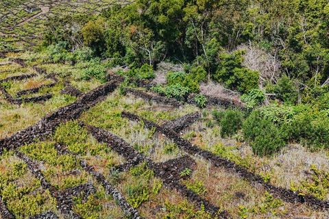 Terra a Sao Mateus, Graciosa, Sao Mateus - € 86.000 | Ref: AZ99033FR - foto 5