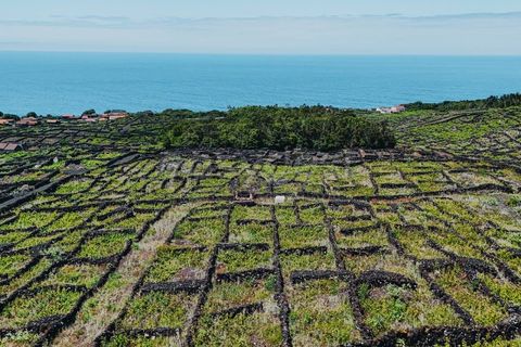 Terra a Sao Mateus, Graciosa, Sao Mateus - € 86.000 | Ref: AZ99033FR - foto 19