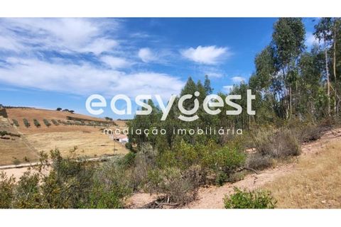 Gårdshus i Ourique, Beja, Ourique - € 276 000 | Ref: BJ88516 - foto 14