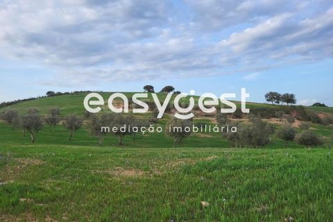 Gårdshus i Ourique, Beja, Ourique - € 276 000 | Ref: BJ88516 - foto 16