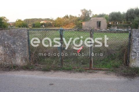 Helårsgrund i Cernache, Coimbra, Cernache - € 95.000 | Ref: RR90700 - foto 3