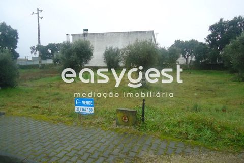 Helårsgrund i Escalos de Cima e Lousa, Castelo Branco, Escalos de Cima e Lousa - € 16.000 | Ref: CB71965MA - foto 1