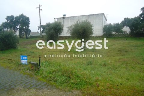 Helårsgrund i Escalos de Cima e Lousa, Castelo Branco, Escalos de Cima e Lousa - € 16.000 | Ref: CB71965MA - foto 2