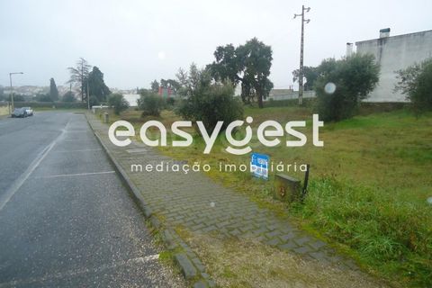 Helårsgrund i Escalos de Cima e Lousa, Castelo Branco, Escalos de Cima e Lousa - € 16.000 | Ref: CB71965MA - foto 3