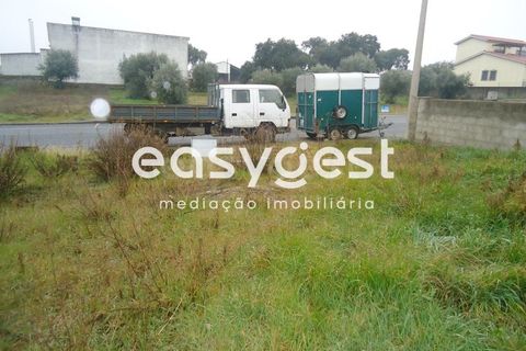 Helårsgrund i Escalos de Cima e Lousa, Castelo Branco, Escalos de Cima e Lousa - € 16.000 | Ref: CB71965MA - foto 11
