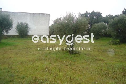 Helårsgrund i Escalos de Cima e Lousa, Castelo Branco, Escalos de Cima e Lousa - € 16.000 | Ref: CB71965MA - foto 13