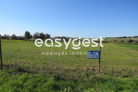 Terra a Aljustrel, Beja, Aljustrel - € 27.000 | Ref: BJ71937AJ - foto 2