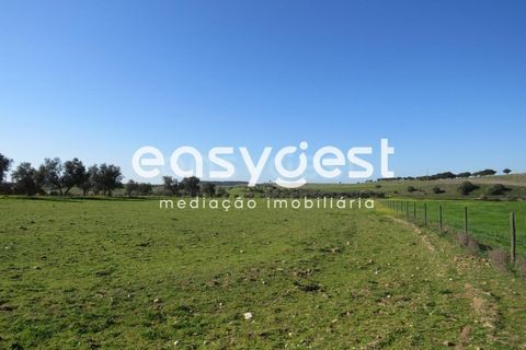 Terra a Aljustrel, Beja, Aljustrel - € 27.000 | Ref: BJ71937AJ - foto 3