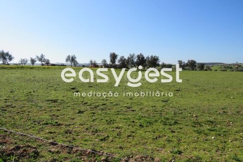 Terra a Aljustrel, Beja, Aljustrel - € 27.000 | Ref: BJ71937AJ - foto 4