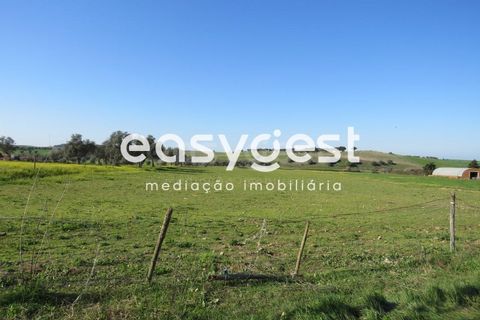 Terra a Aljustrel, Beja, Aljustrel - € 27.000 | Ref: BJ71937AJ - foto 5