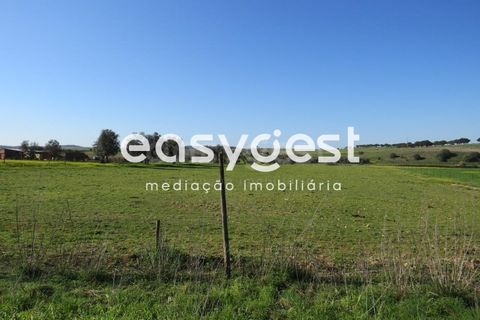 Terra a Aljustrel, Beja, Aljustrel - € 27.000 | Ref: BJ71937AJ - foto 7