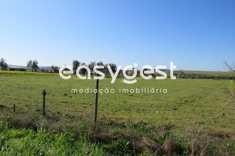 Terra a Aljustrel, Beja, Aljustrel - € 27.000 | Ref: BJ71937AJ - foto 8