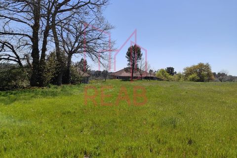 Villa a Quintela, Viseu, Quintela - € 220.000 | Ref: 217/ 2025 - foto 26