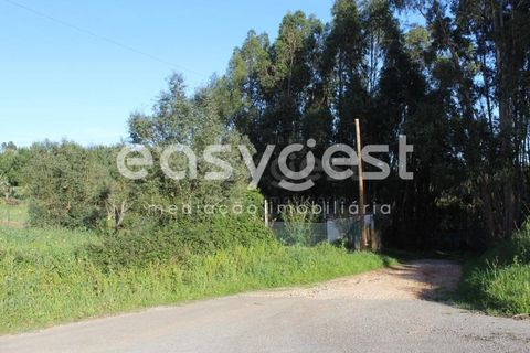 Helårsgrund i Asseiceira, Santarem, Asseiceira - € 25.000 | Ref: TM92042 - foto 3