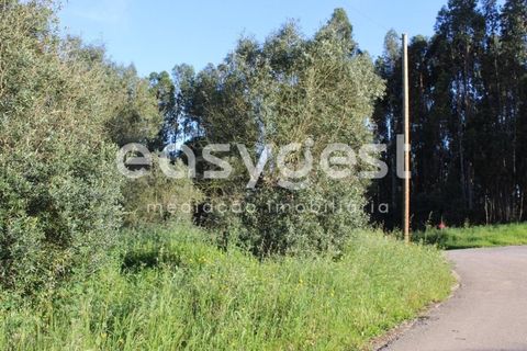 Helårsgrund i Asseiceira, Santarem, Asseiceira - € 25.000 | Ref: TM92042 - foto 7
