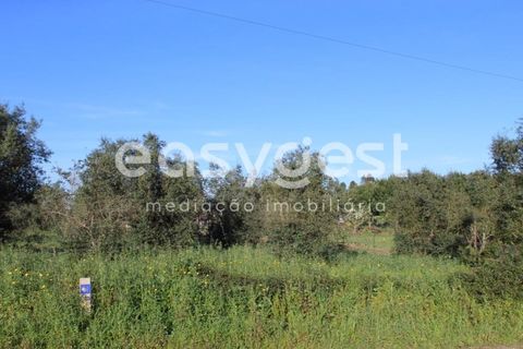 Helårsgrund i Asseiceira, Santarem, Asseiceira - € 25.000 | Ref: TM92042 - foto 9