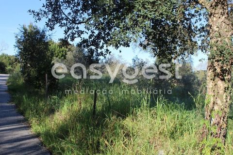 Helårsgrund i Asseiceira, Santarem, Asseiceira - € 25.000 | Ref: TM92042 - foto 10