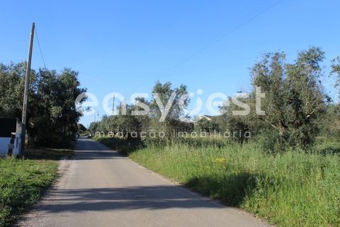 Helårsgrund i Asseiceira, Santarem, Asseiceira - € 25.000 | Ref: TM92042 - foto 12