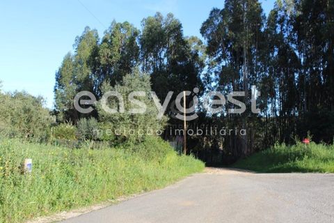 Helårsgrund i Asseiceira, Santarem, Asseiceira - € 25.000 | Ref: TM92042 - foto 14