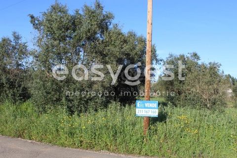 Helårsgrund i Asseiceira, Santarem, Asseiceira - € 25.000 | Ref: TM92042 - foto 15