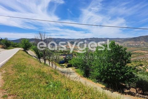 Villa i Adeganha e Cardanha, Braganca, Adeganha e Cardanha - € 20.000 | Ref: BG92272MG - foto 6