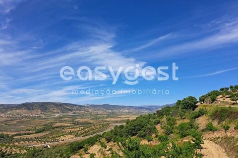 Villa i Adeganha e Cardanha, Braganca, Adeganha e Cardanha - € 20.000 | Ref: BG92272MG - foto 10