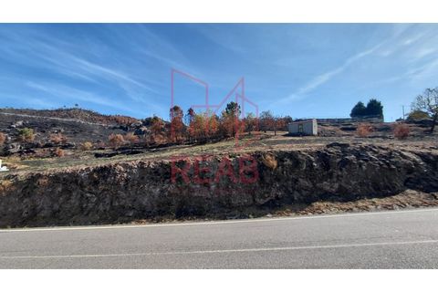 Helårsgrund i Sernancelhe, Viseu, Sernancelhe - € 14.000 | Ref: 247A/ 2025 - foto 6