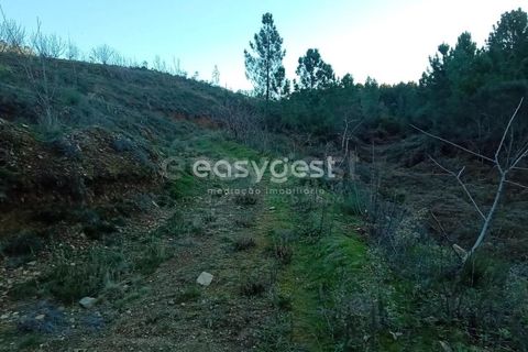 Helårsgrund i Fundao, Castelo Branco, Fundao - € 75.000 | Ref: CB94333MA - foto 2