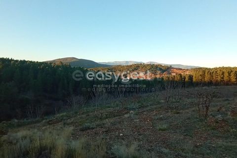 Helårsgrund i Fundao, Castelo Branco, Fundao - € 75.000 | Ref: CB94333MA - foto 3
