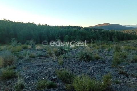 Helårsgrund i Fundao, Castelo Branco, Fundao - € 75.000 | Ref: CB94333MA - foto 4
