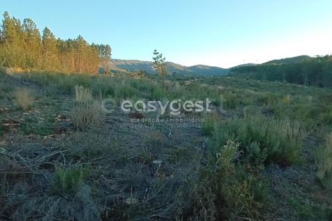 Helårsgrund i Fundao, Castelo Branco, Fundao - € 75.000 | Ref: CB94333MA - foto 5