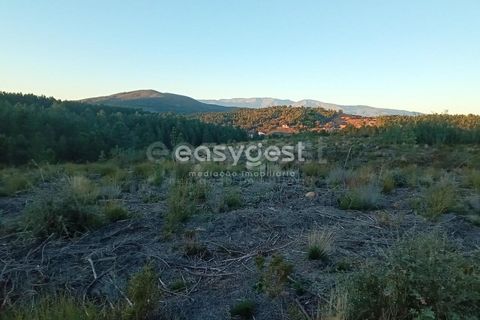 Helårsgrund i Fundao, Castelo Branco, Fundao - € 75.000 | Ref: CB94333MA - foto 7