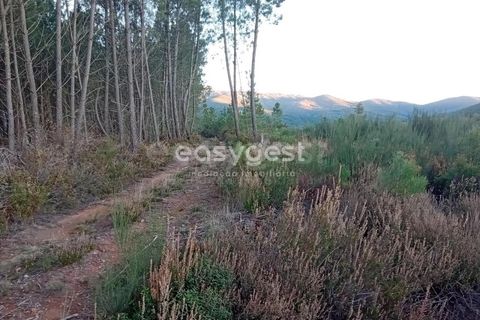 Helårsgrund i Fundao, Castelo Branco, Fundao - € 75.000 | Ref: CB94333MA - foto 10