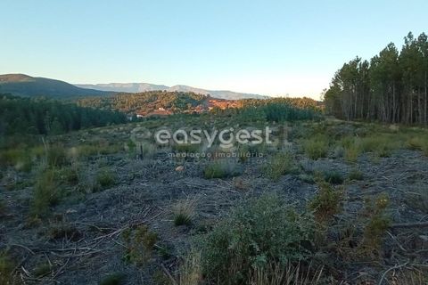 Helårsgrund i Fundao, Castelo Branco, Fundao - € 75.000 | Ref: CB94333MA - foto 11