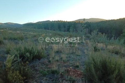 Helårsgrund i Fundao, Castelo Branco, Fundao - € 75.000 | Ref: CB94333MA - foto 13