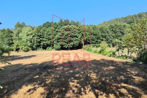Helårsgrund i Sernancelhe, Viseu, Sernancelhe - € 15.000 | Ref: 169C/ 2024 - foto 4